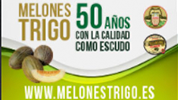 melones-trigo